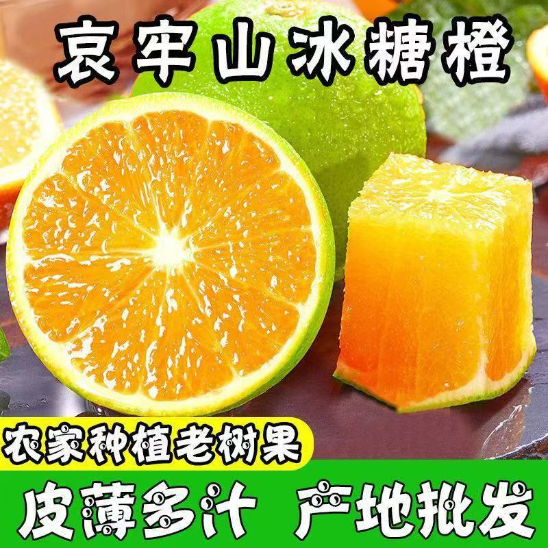 云南哀牢山冰糖橙新鲜现摘现发清甜多汁应季水果