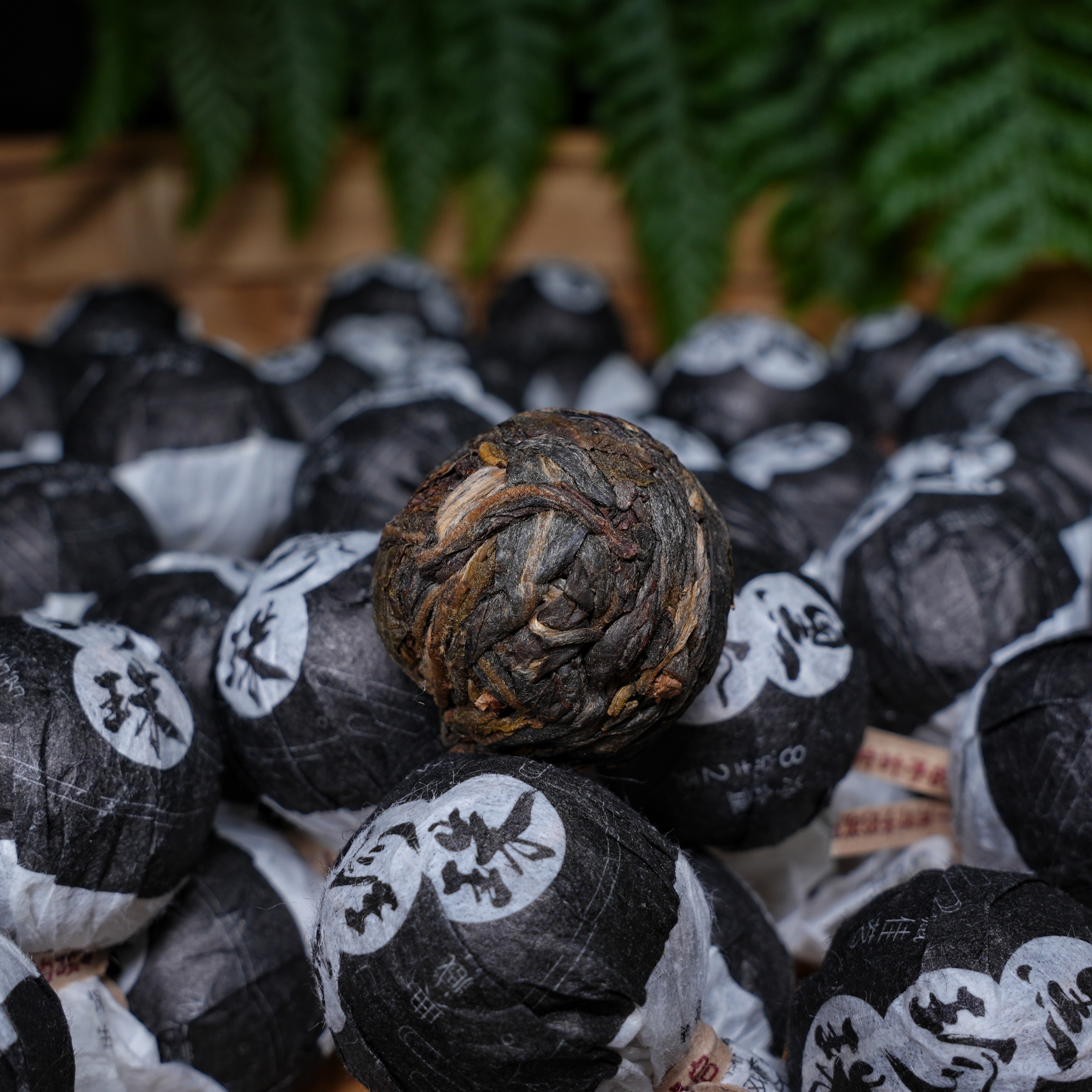 2020年黑珍珠生茶8克1粒x10粒