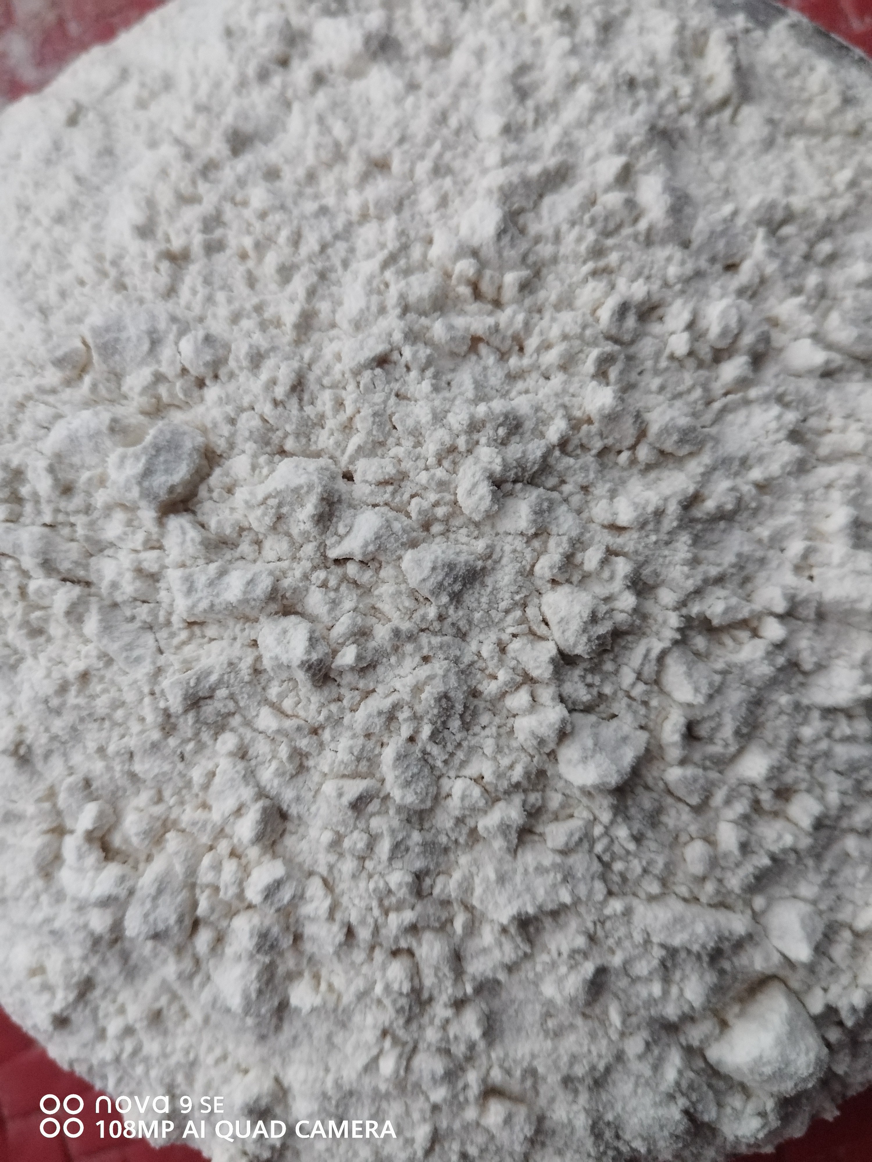 正宗亚安早小麦面粉纯麦子自磨