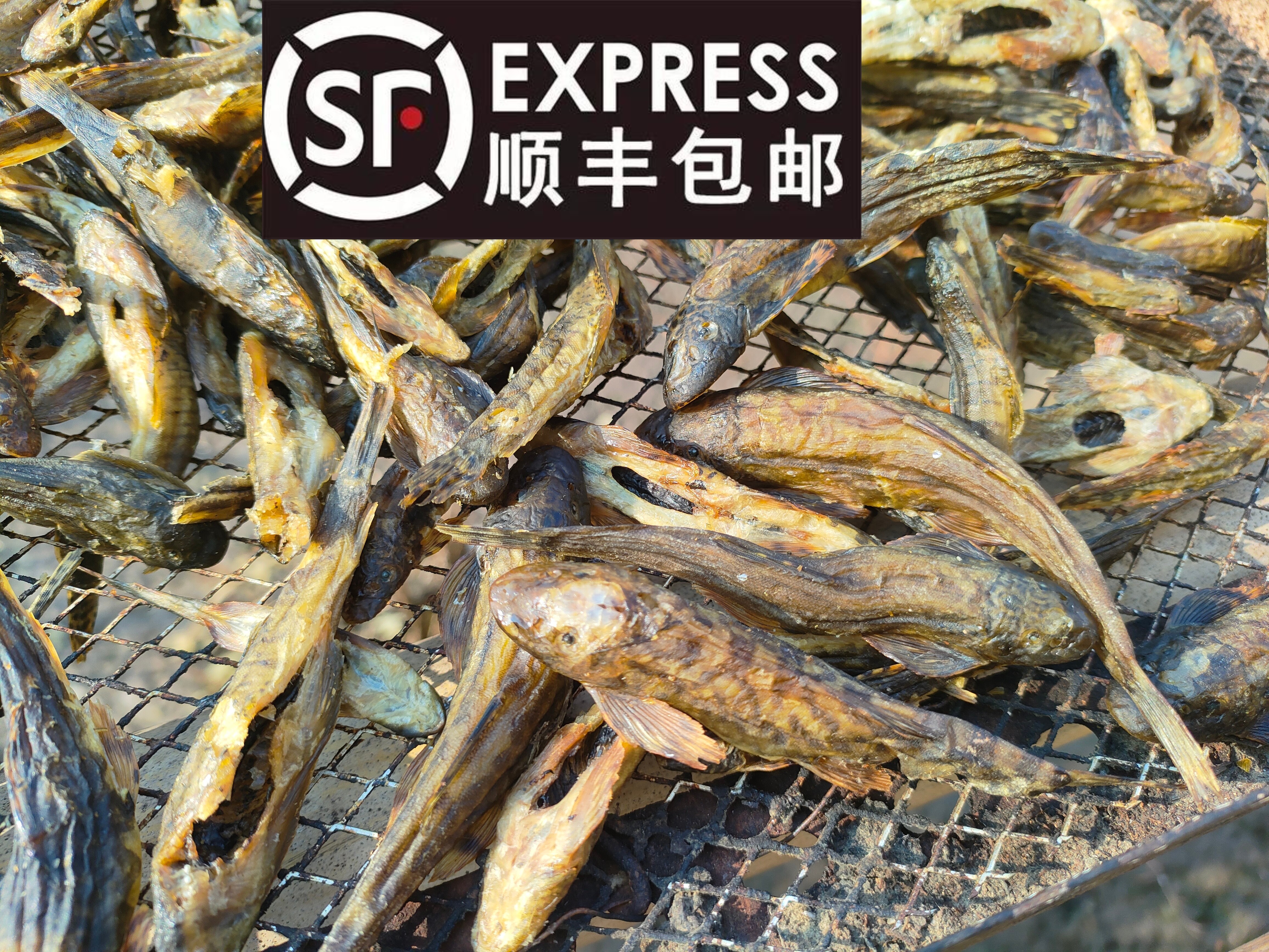 广西野生爬石鱼干原味炭火烘焙鱼干农家无盐烘焙鱼干新鲜石爬子鱼