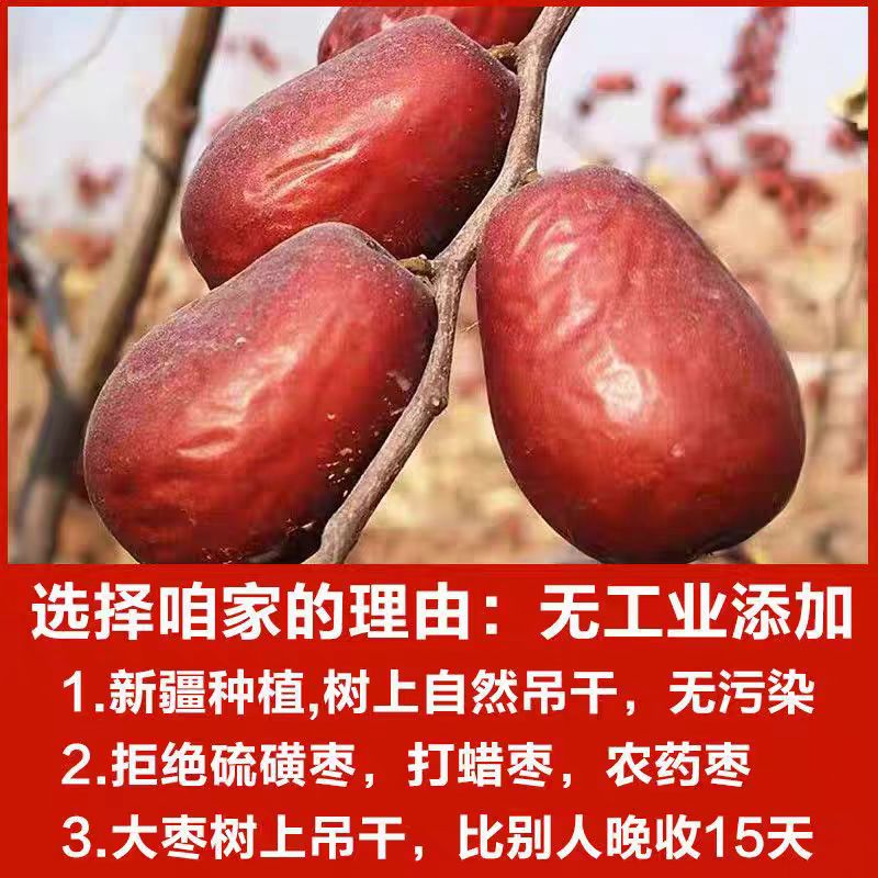 25年头茬新疆红枣【新疆直发】皮薄肉厚