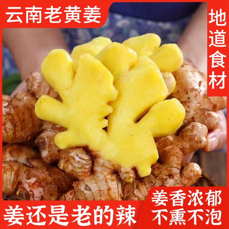 【新鲜云南小黄姜】净重3/5/9斤新鲜老姜现挖产地直发（坏姜包赔）