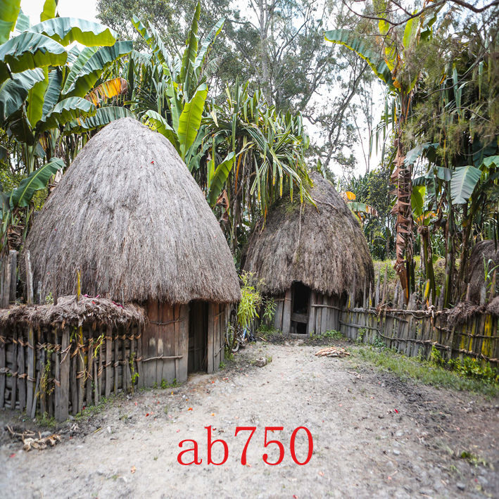 抖音直播背景布拍照风景画大自然山水网红直播间农村破房子