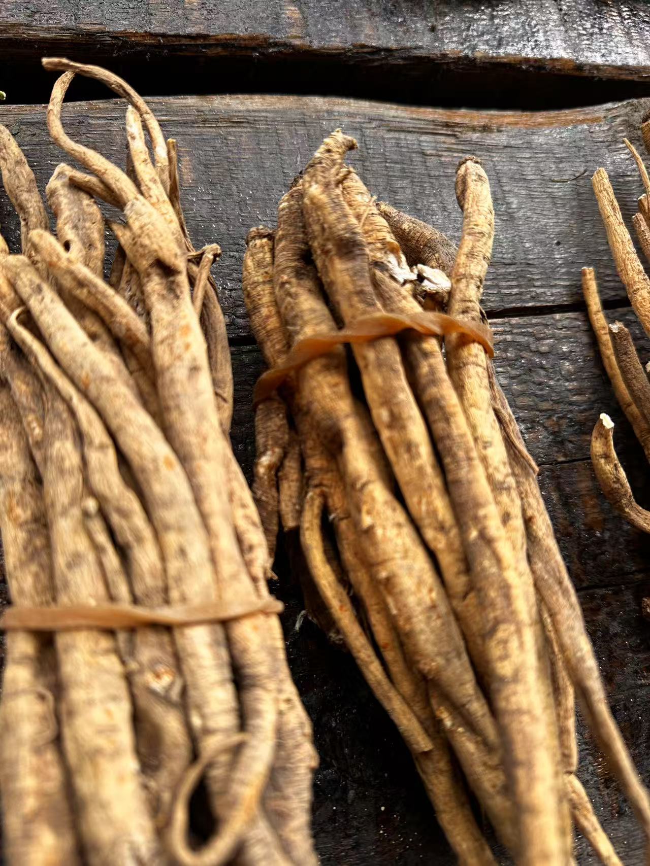 当归理小路高原当归山货当归 炖鸡煲汤