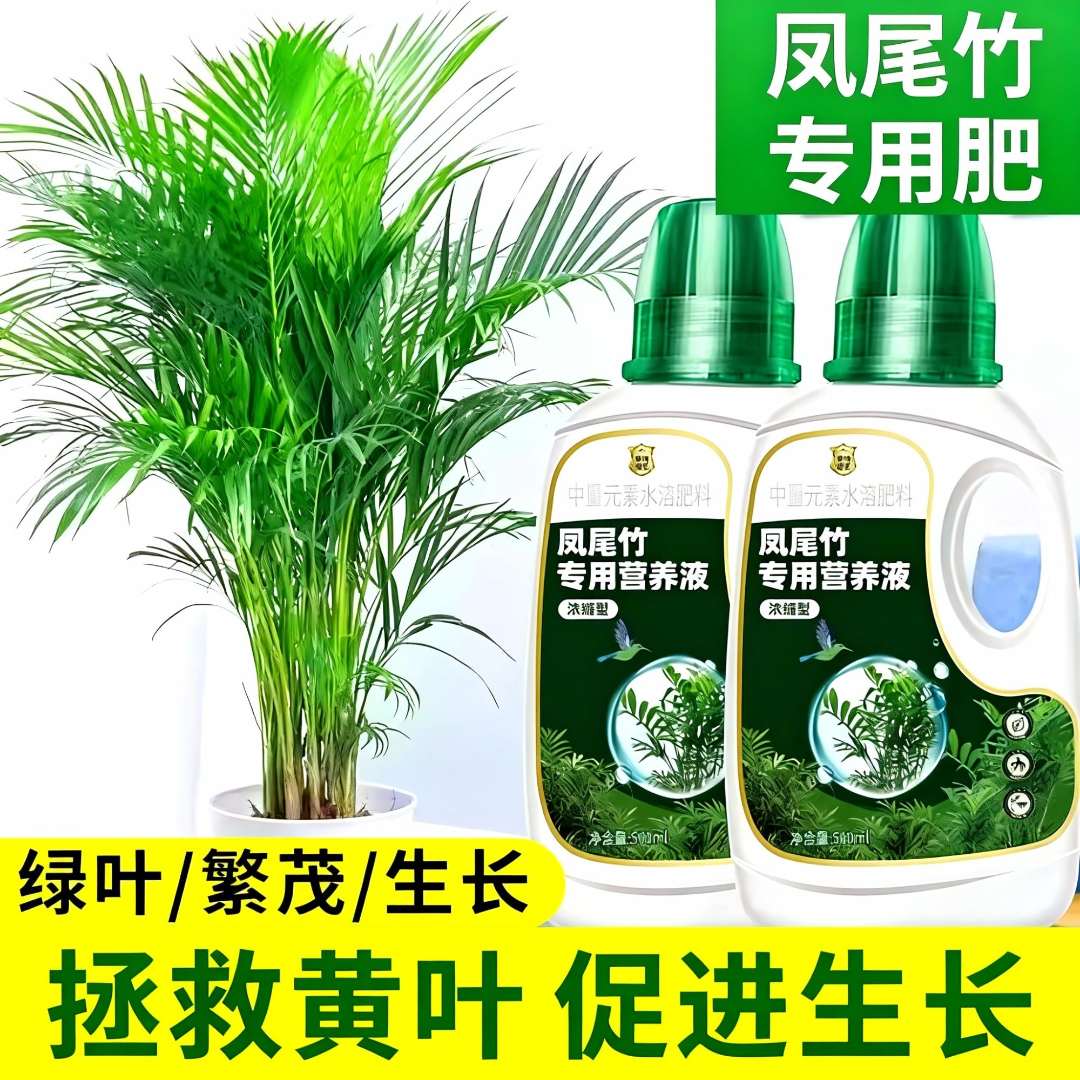 凤尾竹浓缩营养液花肥水培米竹凤尾蕉专用肥料散尾葵水溶液体盆栽