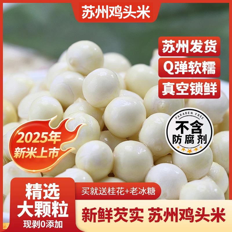 【大颗粒】2025年正宗苏州新鲜鸡头米芡实 当季采摘