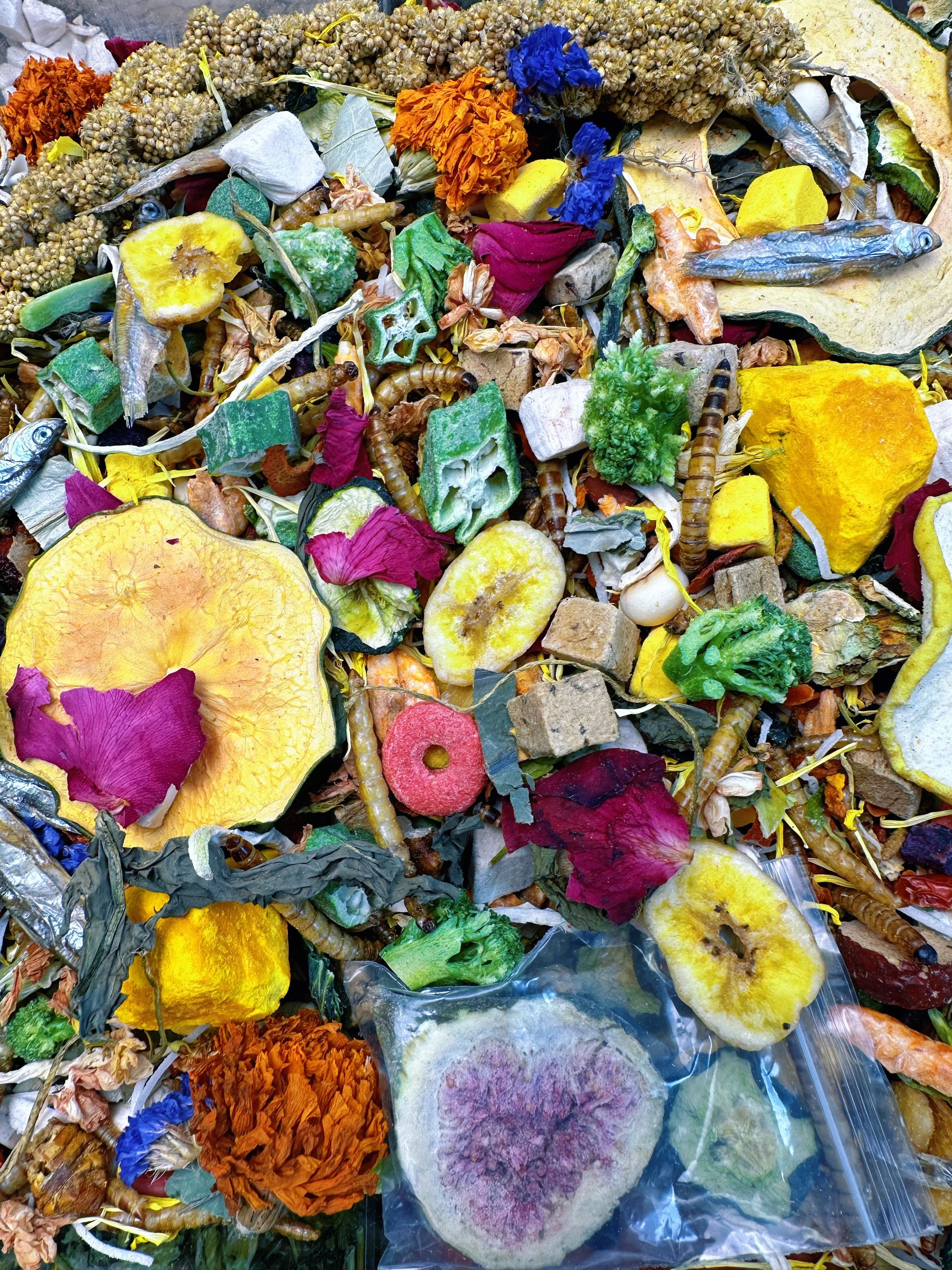 营养自配仓鼠主粮含冻干适用于金丝熊侏儒鼠增肥长肉