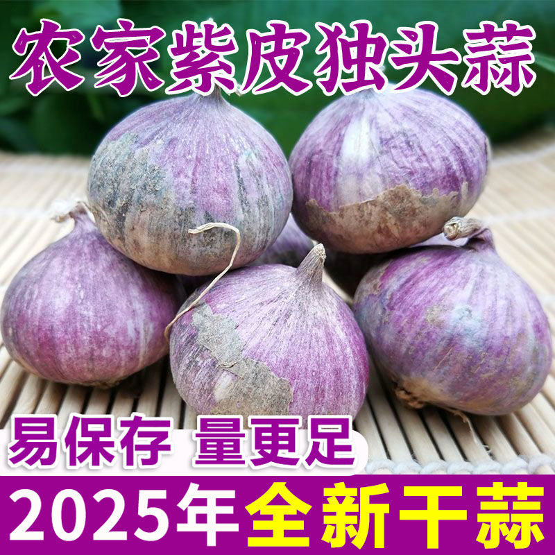 【超低价】紫皮独头大蒜头批发云南紫皮独蒜特大果农产品生鲜