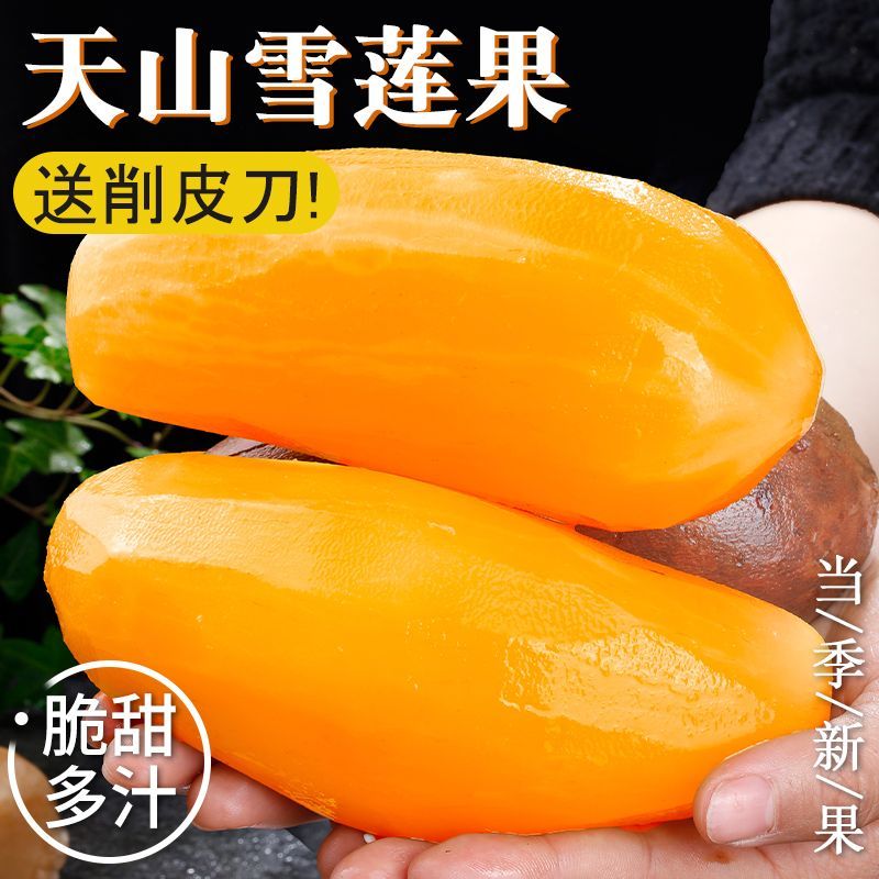 云南天山雪莲果红心新鲜特级水果当季整箱雪莲10斤水莲果一级雪连