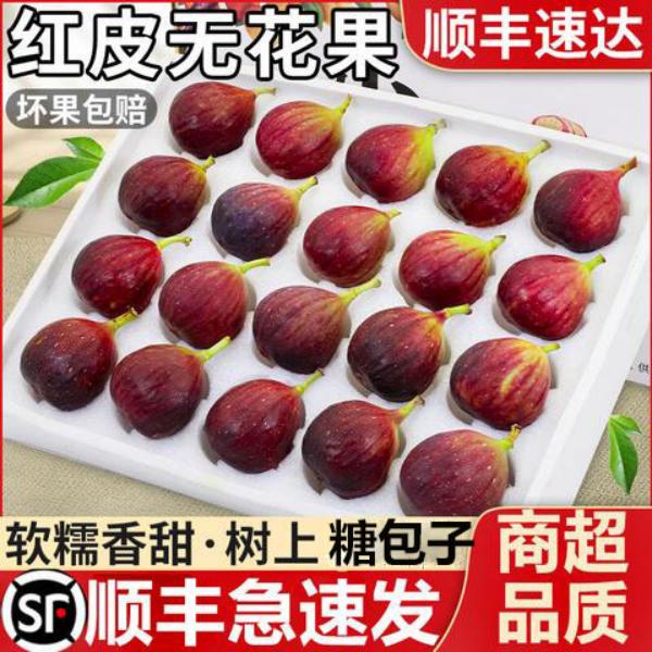 【顺丰冷链】红皮无花果软糯香甜 鲜果当季新鲜现摘孕妇水果糖包子