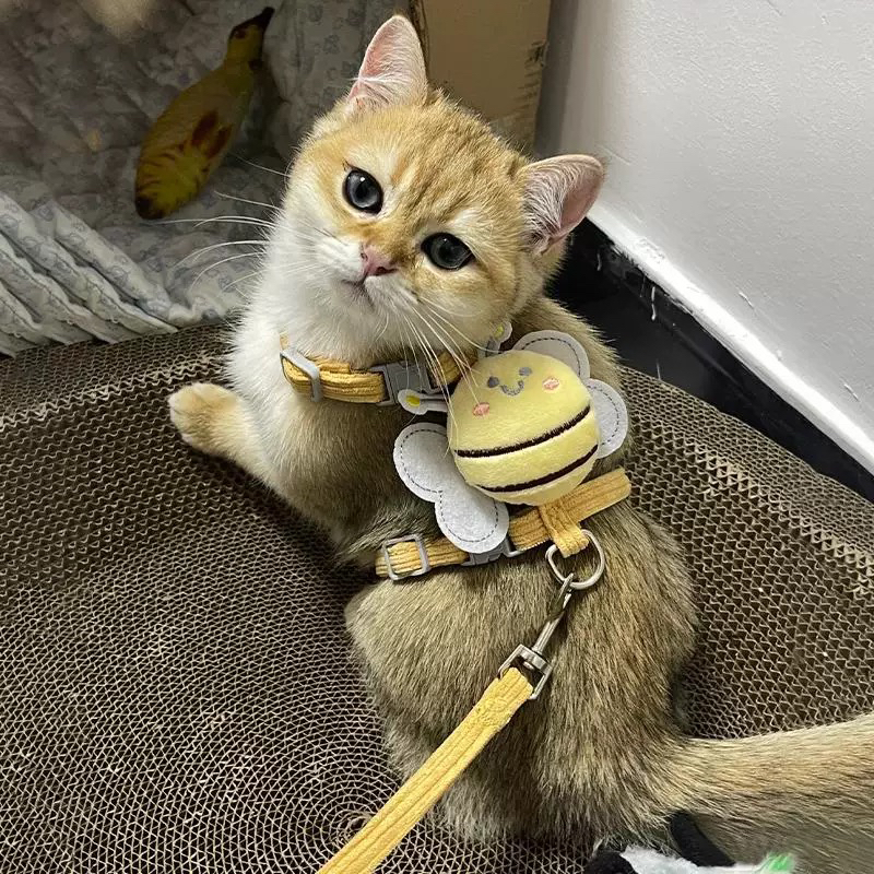可爱宠物外出牵引绳产品猫咪牵引绳蜜蜂造型调节狗绳猫绳防挣脱