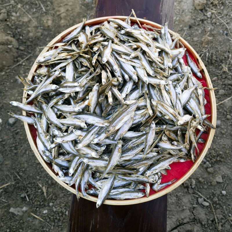 迷你小小参条4cm左右很小（拒绝差评）