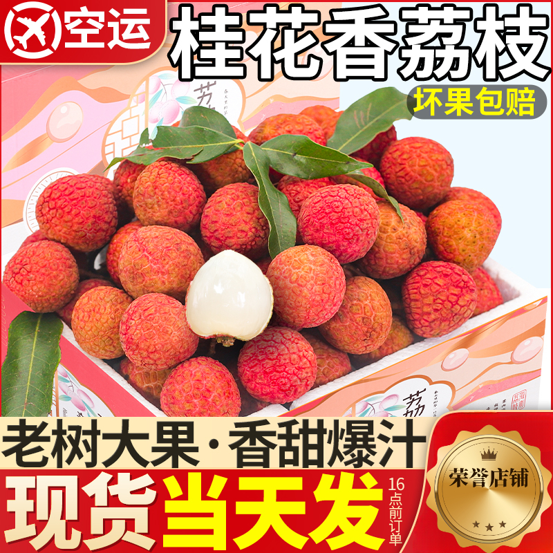 顺丰现货 海南桂花香荔枝鲜果新鲜水果现摘当季妃子整箱包邮