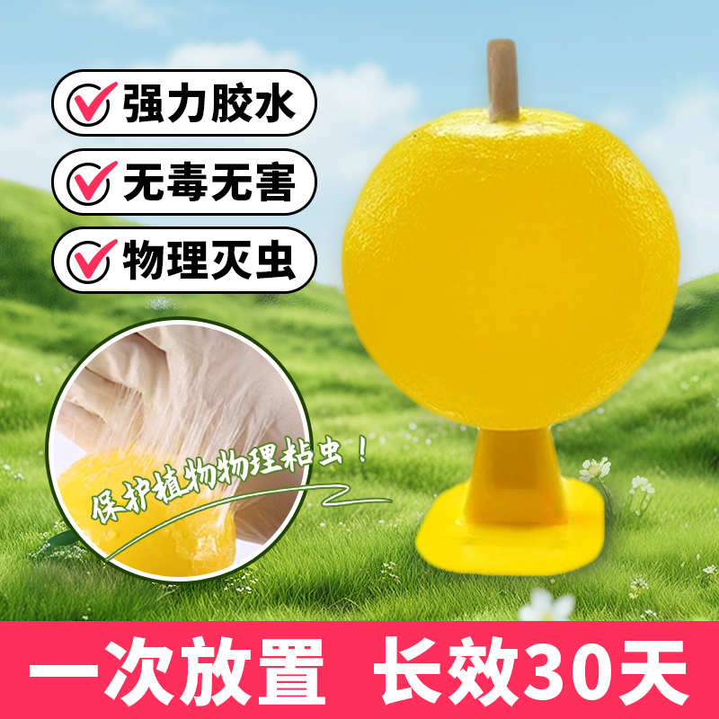 果蝇球诱捕神器消灭神器小飞虫诱捕器蚊虫克星厨房清除方法