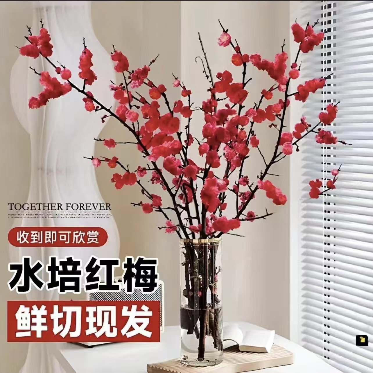 【带花苞】水培梅花鲜枝红梅年宵花新年装饰枝条冬季室内外观赏花卉