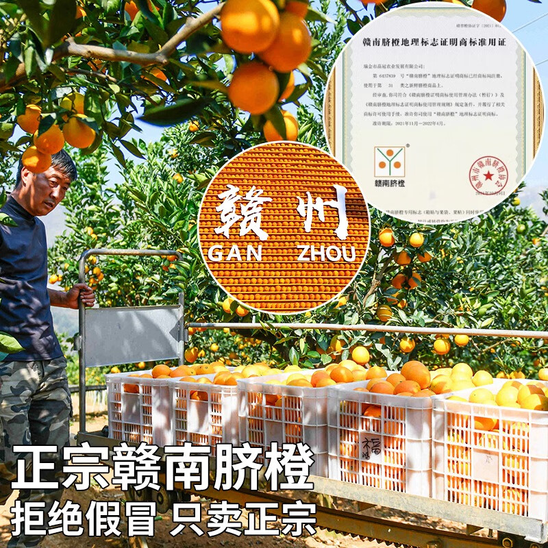 江西正宗赣南脐橙新鲜当季水果产地直发甜橙