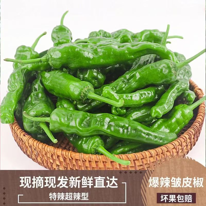 新鲜农家自种土辣椒薄皮小皱皮辣椒爆辣美味农家自种当季蔬菜