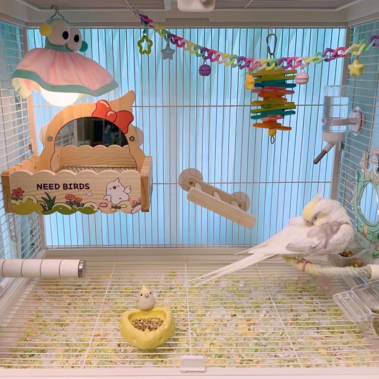 NEED BIRDS原创小木屋小鸟镜子床原木不锈钢解闷鹦鹉玩具鸟笼用品