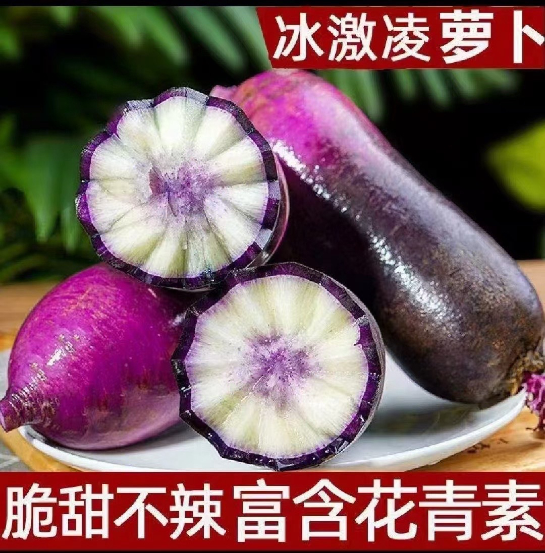 潍坊新鲜冰淇淋萝卜生吃脆甜爽口水果萝卜（礼盒装）