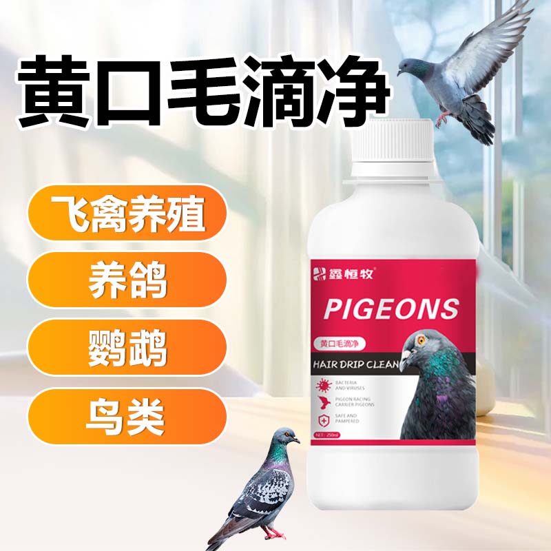 【黄口毛滴净】鸽子毛滴虫鹦鹉咽喉白点念珠菌绿便脱信鸽賽鸽呼吸病