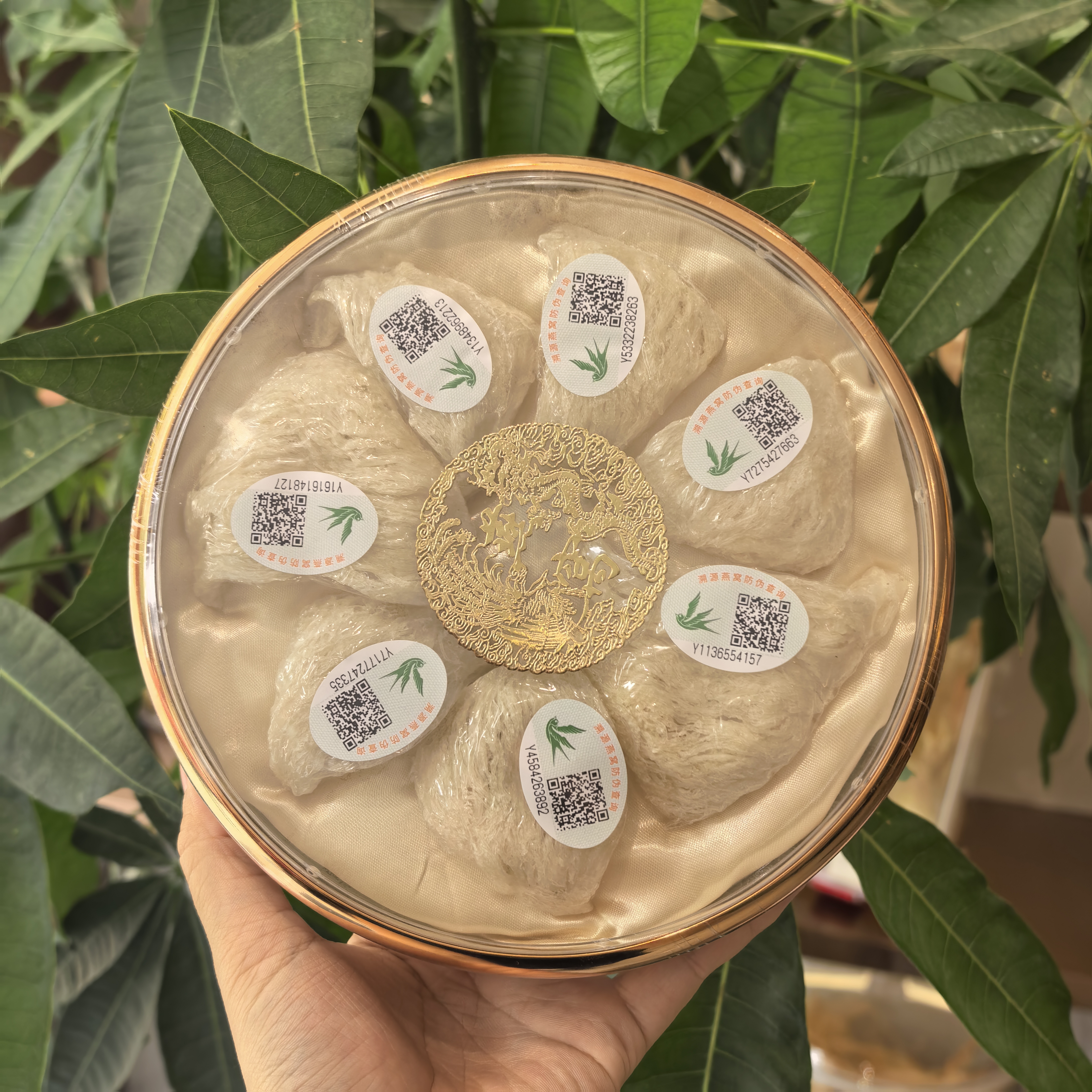 朱朱家三角燕窝50g