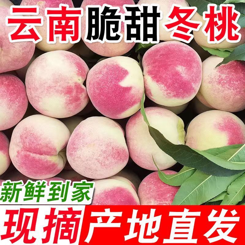 【脆甜可口】云南大理冬桃雪蜜脆甜离核新鲜当季现摘水果