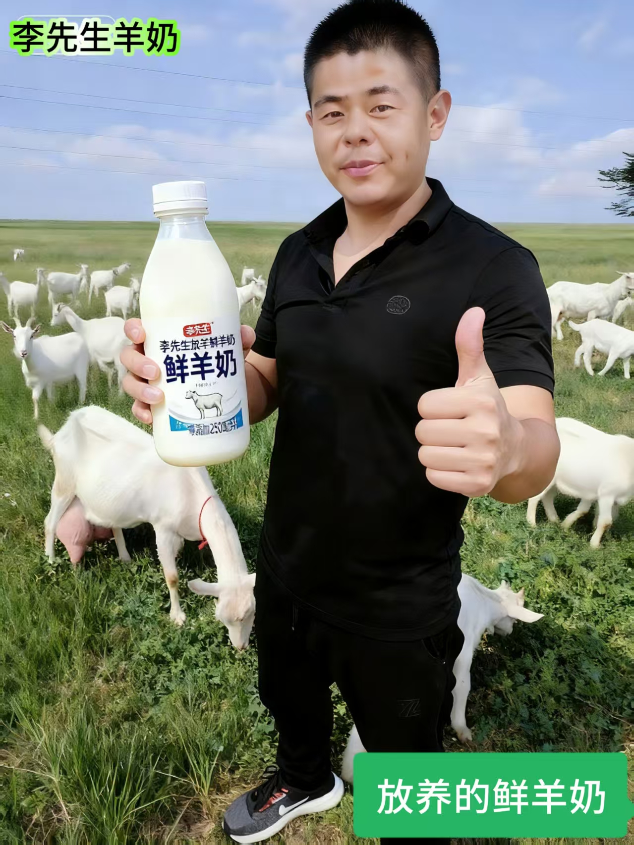 羊奶5斤顺丰包邮每天放养羊奶零添加牧场直供老人小孩孕妈妈