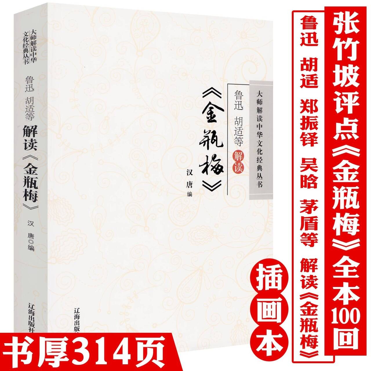 名家解读金瓶鲁迅胡适张竹坡等金瓶古典文学名著明清小说研究书籍