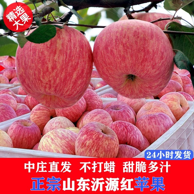 山东淄博沂源中庄正宗产地当季新鲜红富士苹果脆甜多汁冰糖心当季
