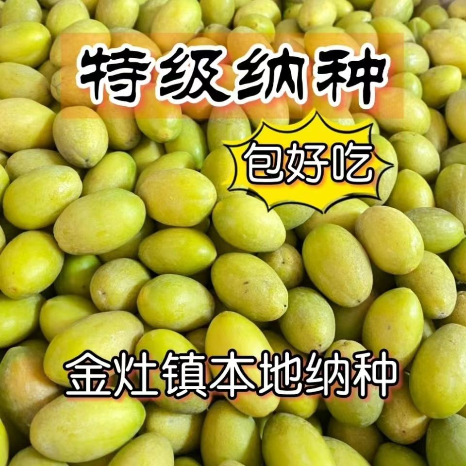 正宗潮汕现摘金玉纳种橄榄橄榄鲜果青橄榄大豆甘香无渣新鲜水果
