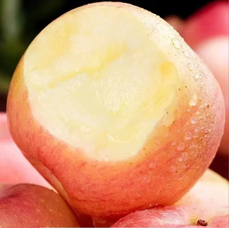 陕西红富士新鲜脆甜多汁当季应季水果y