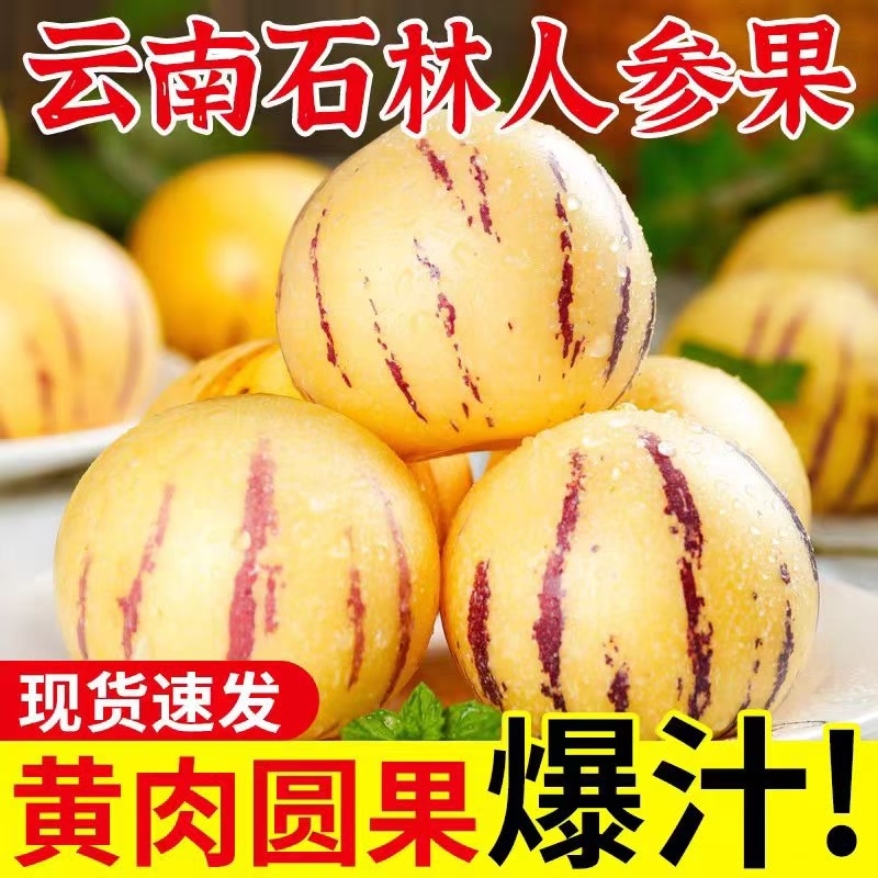 云南石林人参果树上熟圆果黄肉果新鲜清甜多汁当季水果