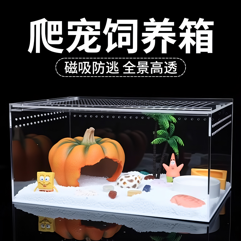 爬宠饲养箱寄居蟹饲养盒沙蟹饲养缸造景全套生态缸箱水陆缸爬宠盒