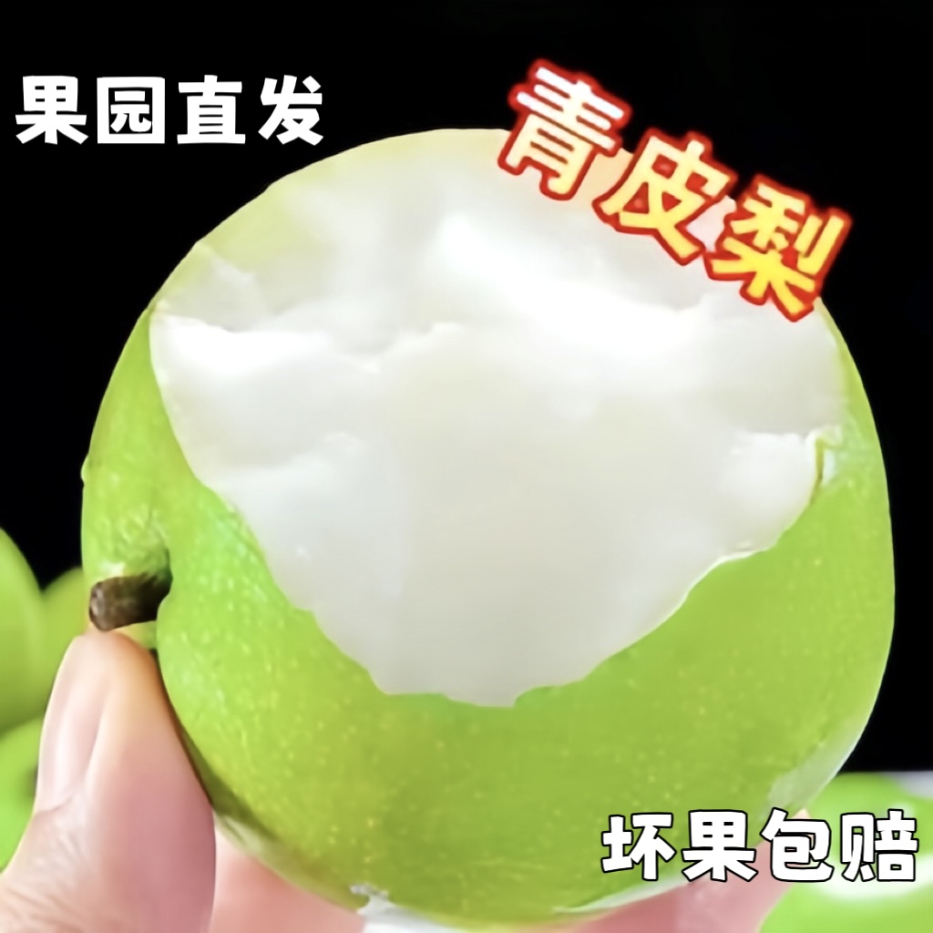 砀山青皮梨梨脆甜无渣汁水新鲜水果梨砀山脆甜梨脆甜多汁皮薄1