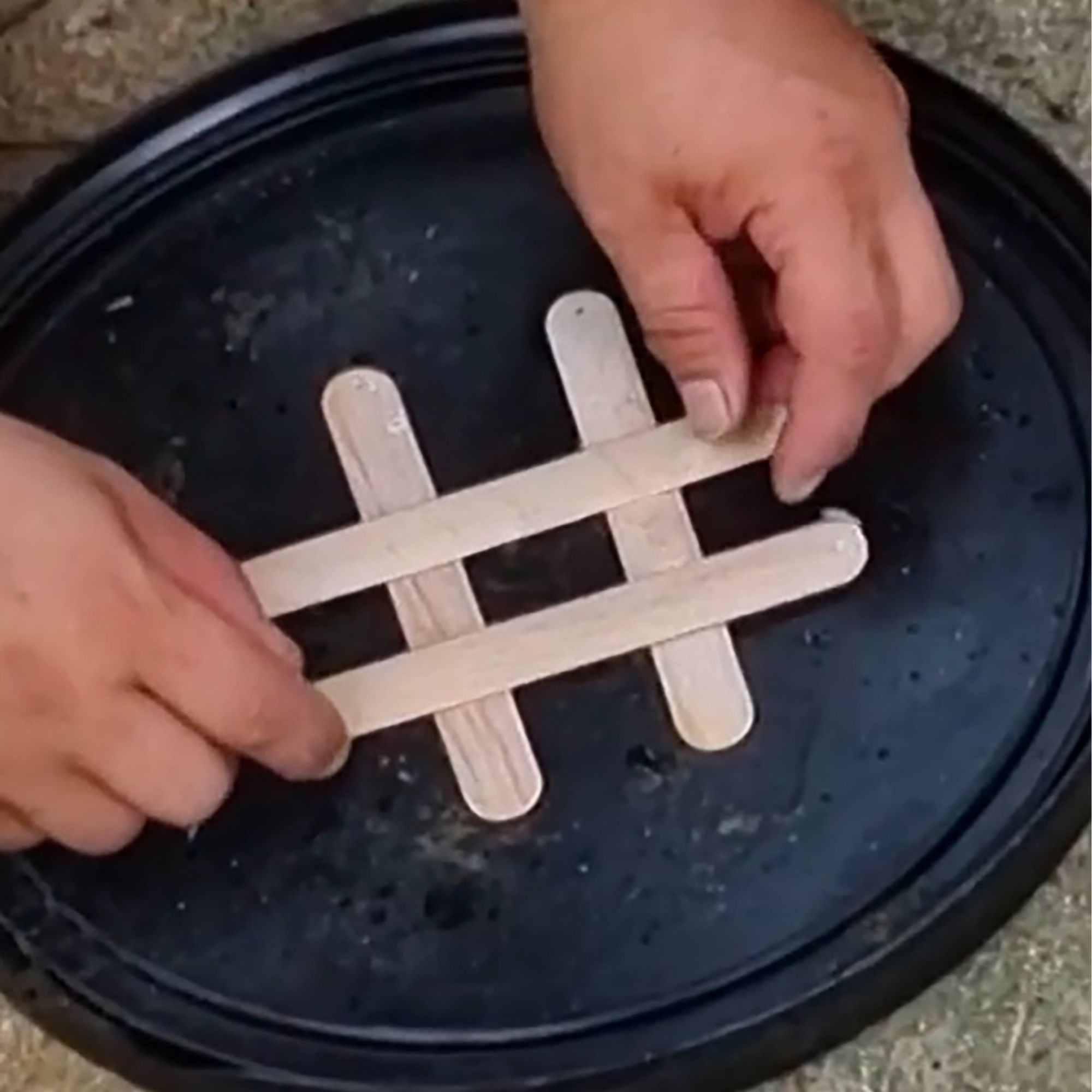 养蜂神器清木片蜜蜂