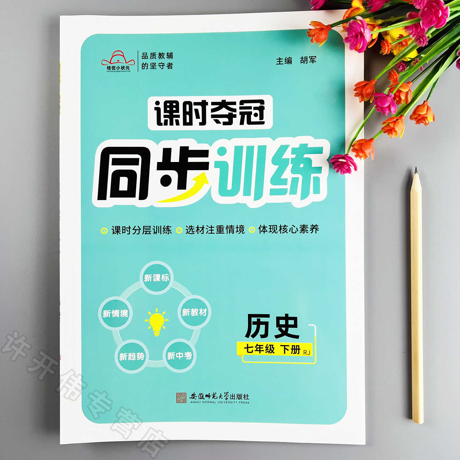课时夺冠同步训练七年级下册历史同步练习册一课一练课时分层作业