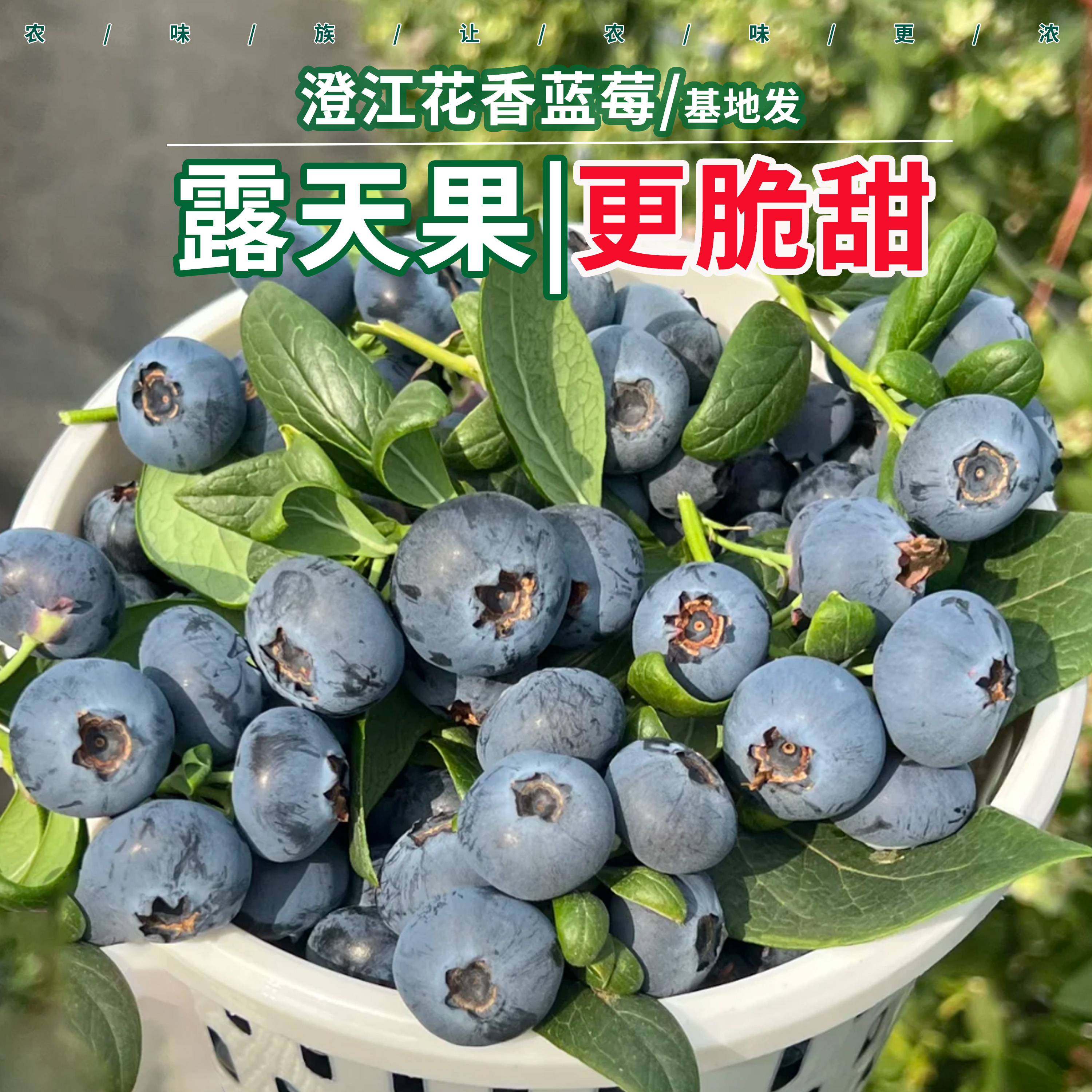 农味族花香蓝莓盒装顺丰空运云南蓝莓新鲜孕妇水果产地发孕妇水果