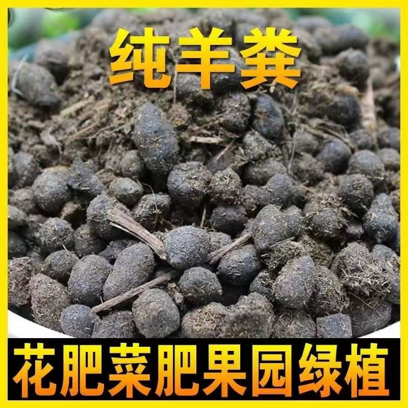 纯羊粪蛋发酵颗粒有机肥腐熟营养土肥粪纯纯干营养土羊粪肥羊粪蛋