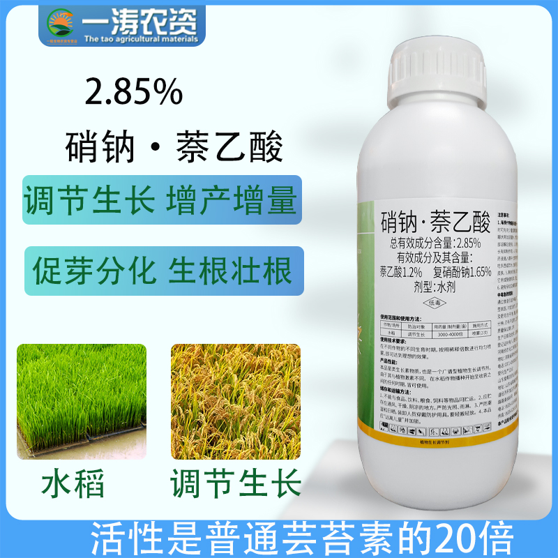 2.45%硝钠萘乙酸水稻调节生长 蔬菜果树大田增产调节剂
