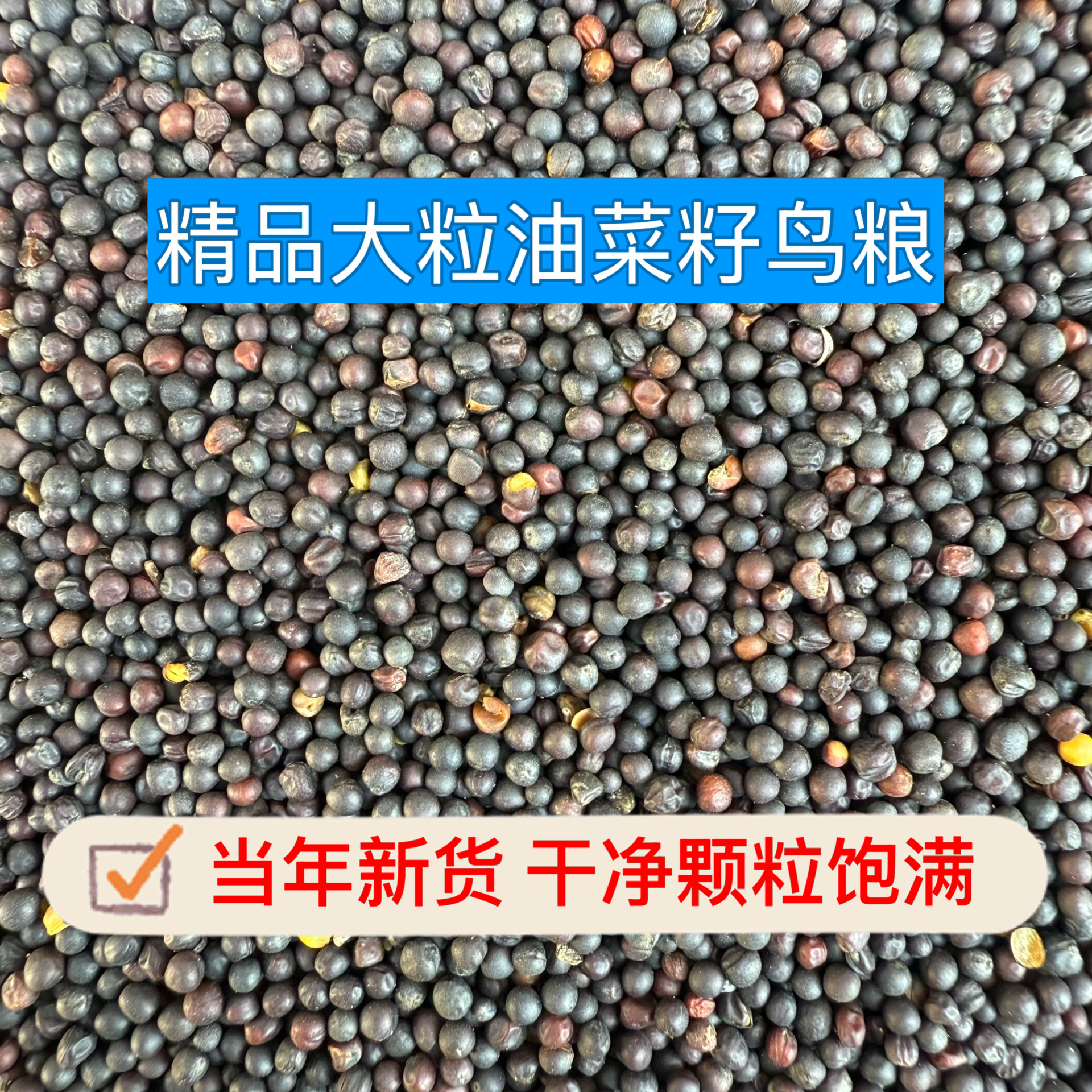 2025新油菜籽鸟粮鸟食优质大颗粒鹦鹉芙蓉鸟玉鸟丝雀文鸟珍珠饲料