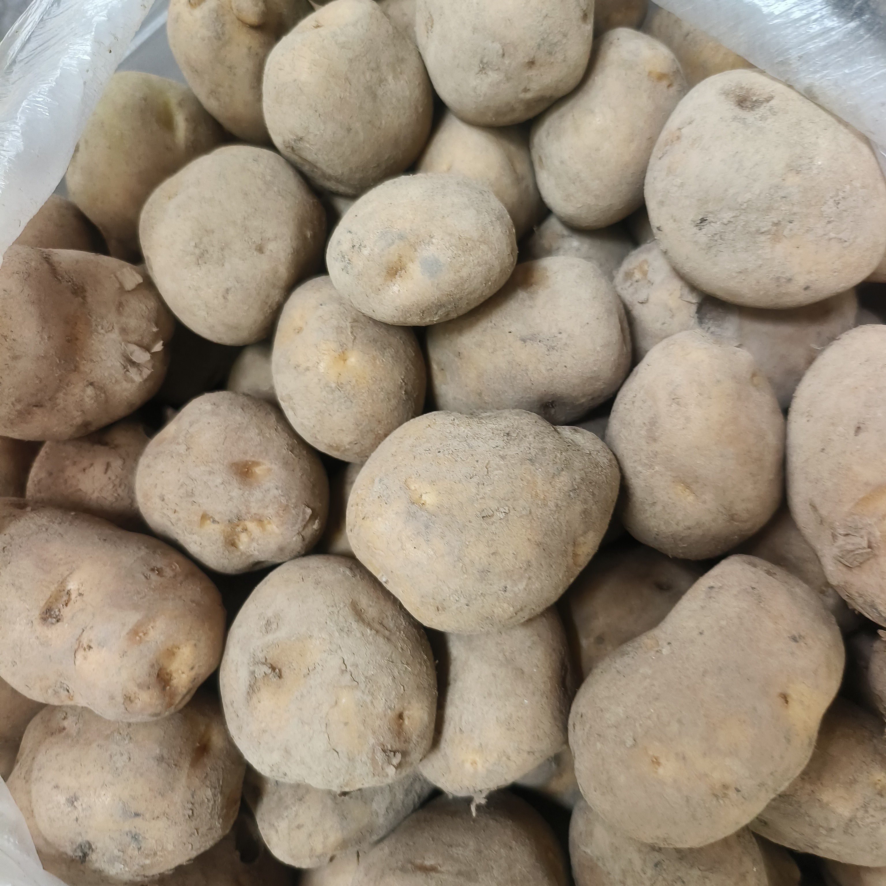 5斤包邮湖北恩施黄心老品种马尔科小洋芋 农家硒土豆洋芋马铃薯