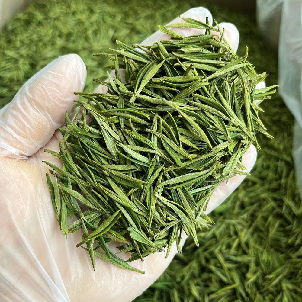 兰花香安吉白茶2024明前头采新茶特级绿茶礼盒装正宗安吉新茶白茶