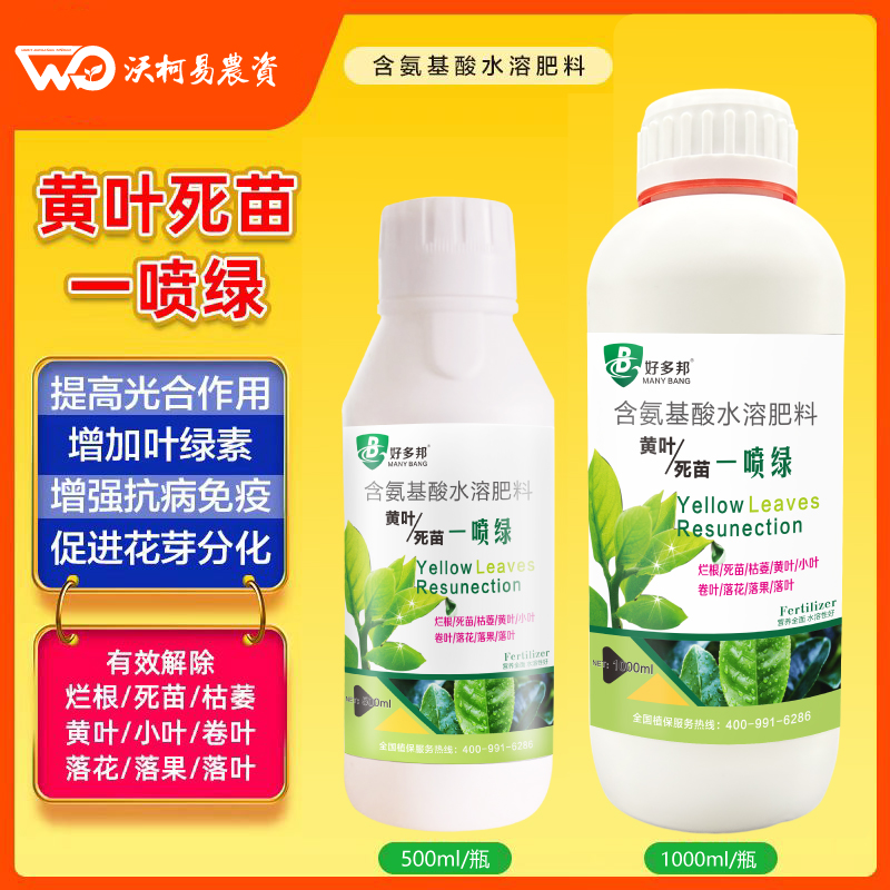 黄叶一喷绿蔬菜果树微量元素通用氨基酸水溶肥叶绿素叶绿素叶面肥