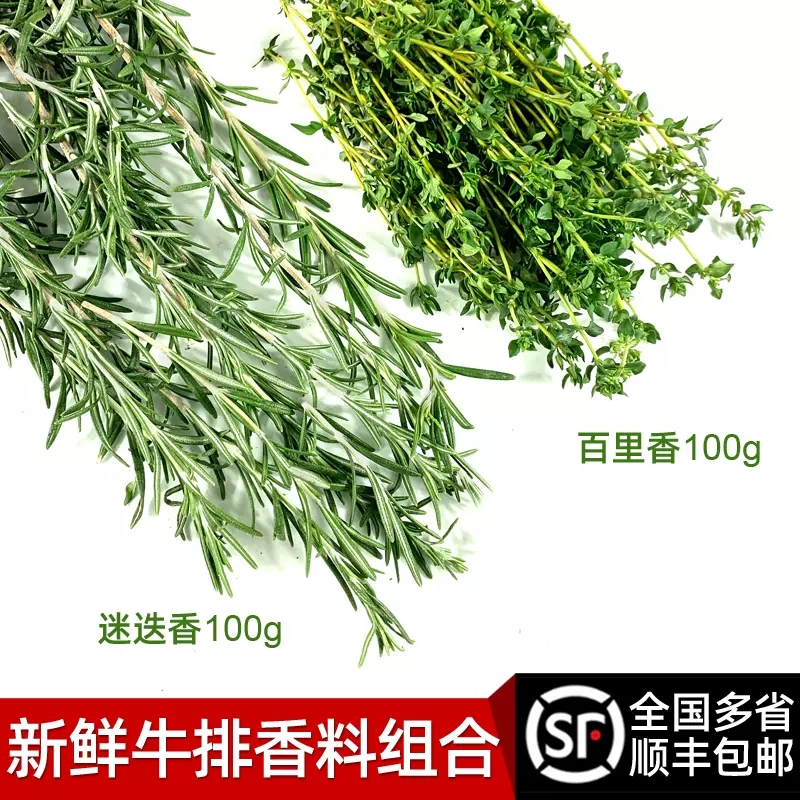新鲜迷迭香百里香共200g 西餐牛排烧烤食用调料香料配料组合