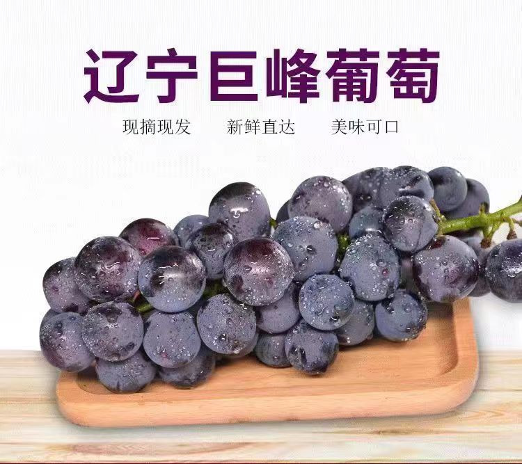 顺丰包邮东北巨峰葡萄新鲜多汁孕妇水果可做葡萄酒1斤3斤5斤