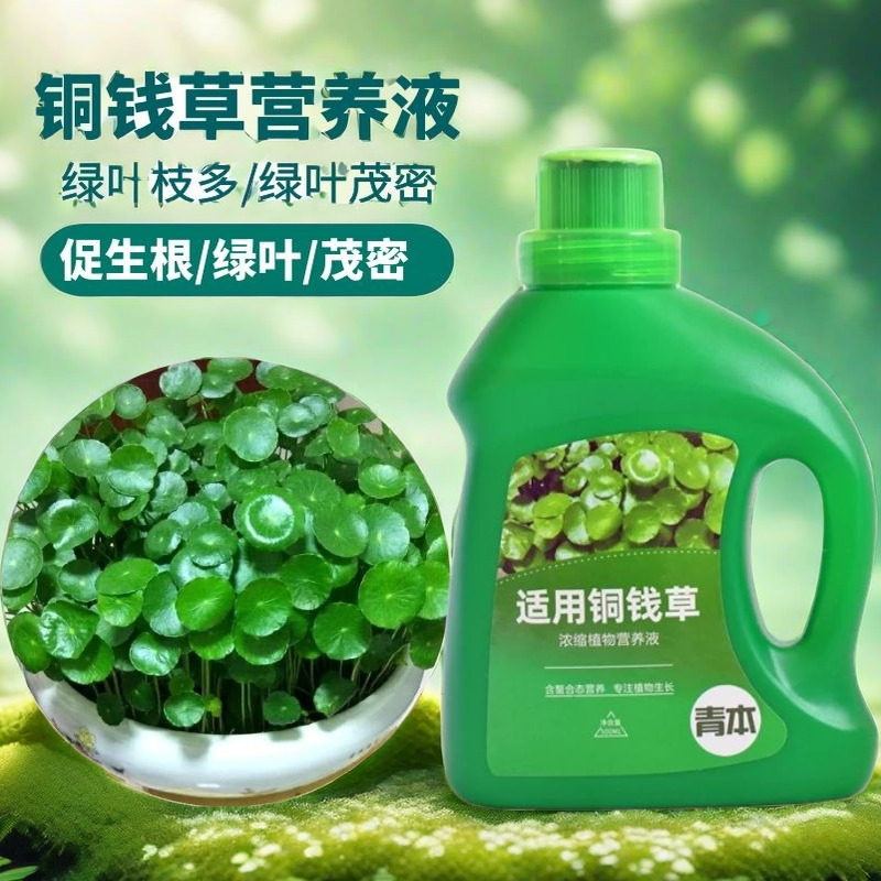 铜钱草专用肥营养液家用养花肥料盆栽通用土培水培钱币草金钱莲肥