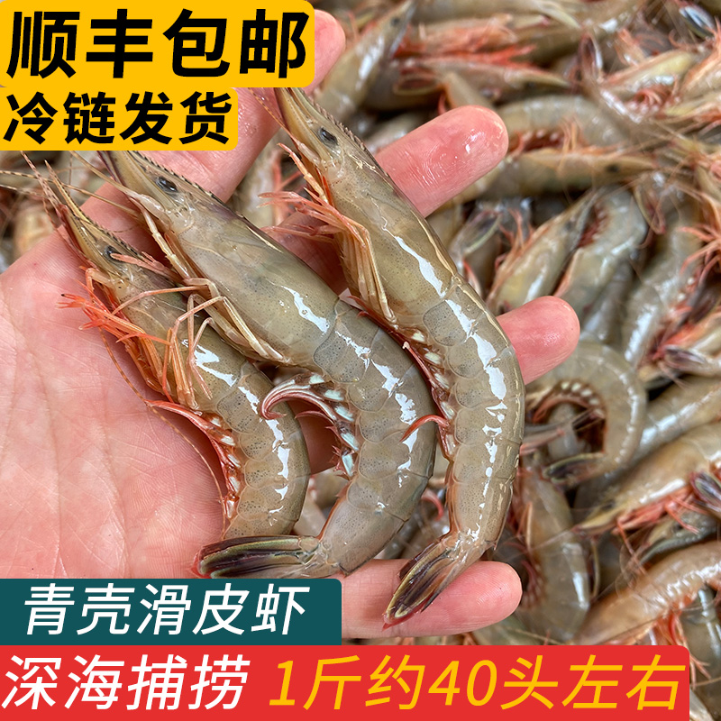 舟山特产青壳滑皮虾鲜活冷冻海捕活皮虾大条海虾海鲜小海捕虾商用