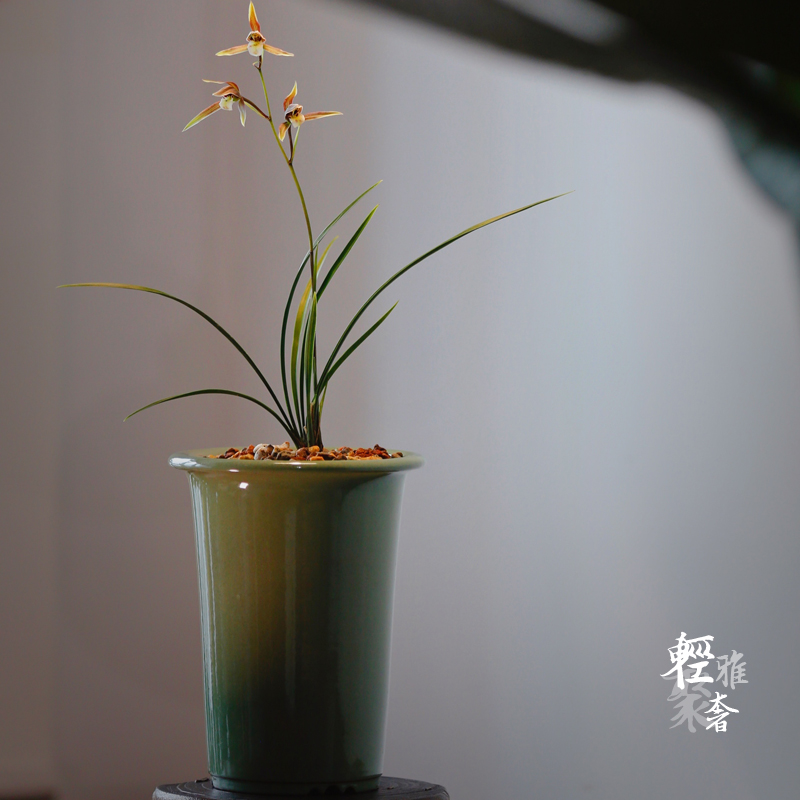 轻奢 笼香梅青釉 紫砂兰花盆寒兰盆春兰盆莲瓣兰盆引种盆