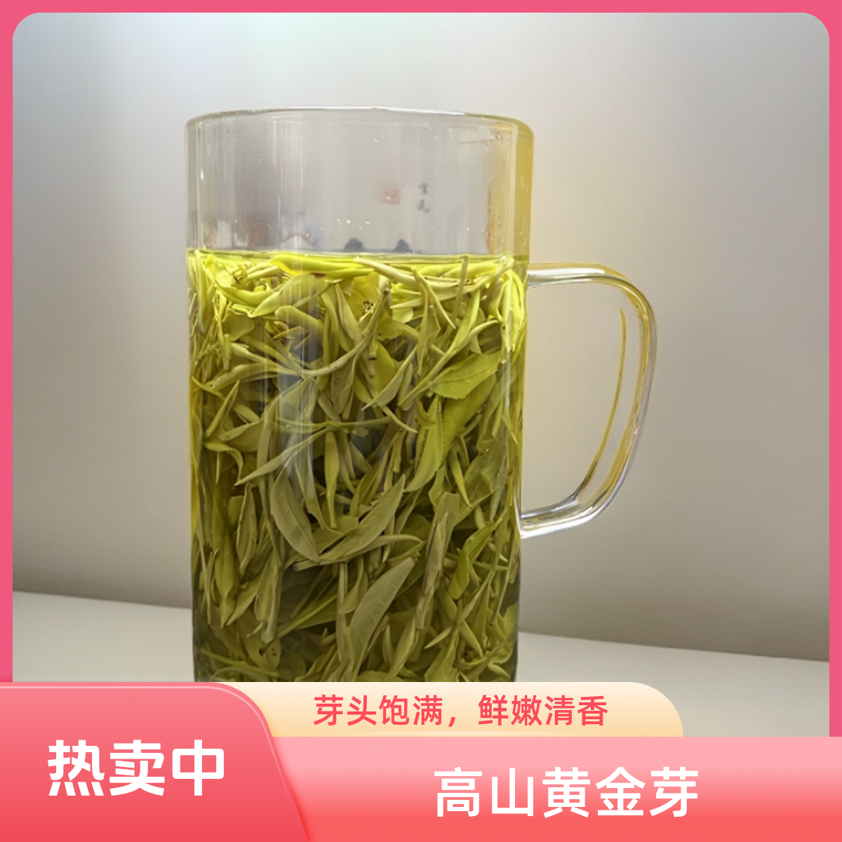 2025年新茶口粮茶【黄金芽】原产地高山云雾奶白黄金芽绿茶