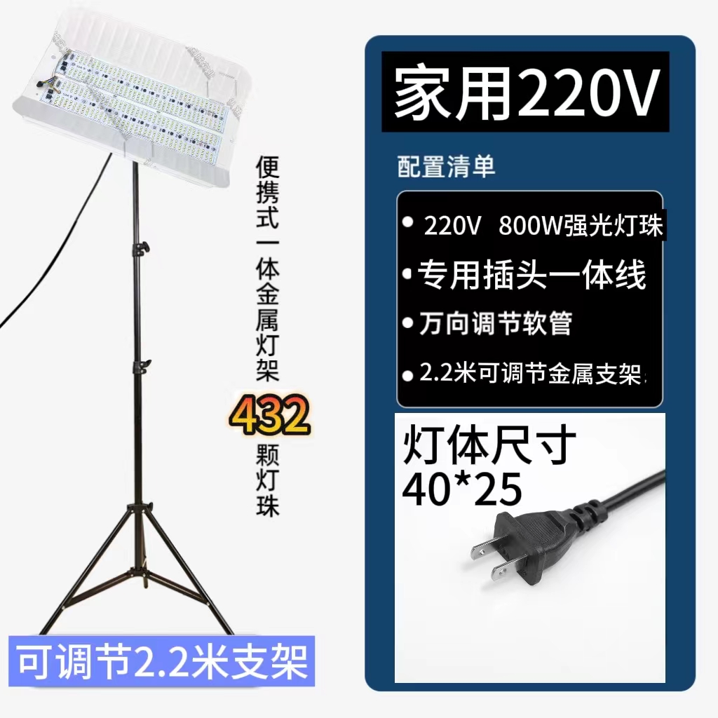 220V油工灯家用工地照明灯LED碘钨灯腻子打磨施工灯防取暖器灯泡
